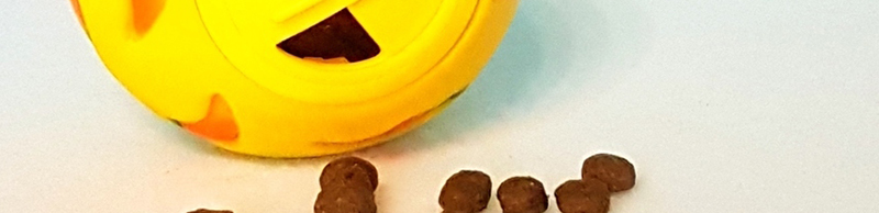 Balle de jeu pour rats