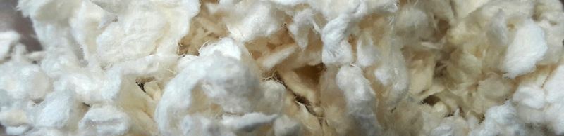 Litière de cellulose brute pour rats