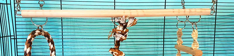 Echelle jouet oiseaux rats