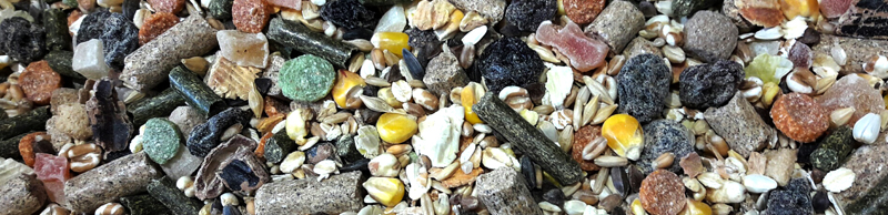 Mélange maison pour rats