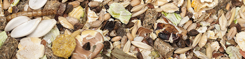 Mélange maison pour rats