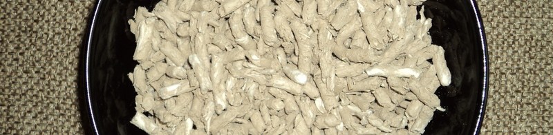 Litière de papier recyclé pour rats