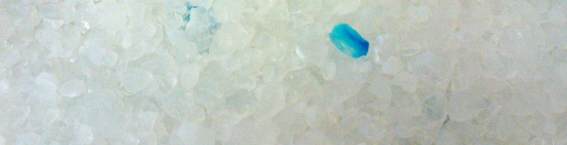 Litière de silice pour rats