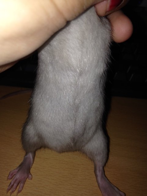 post-21465-0-00226000-1431088105_thumb.jpg