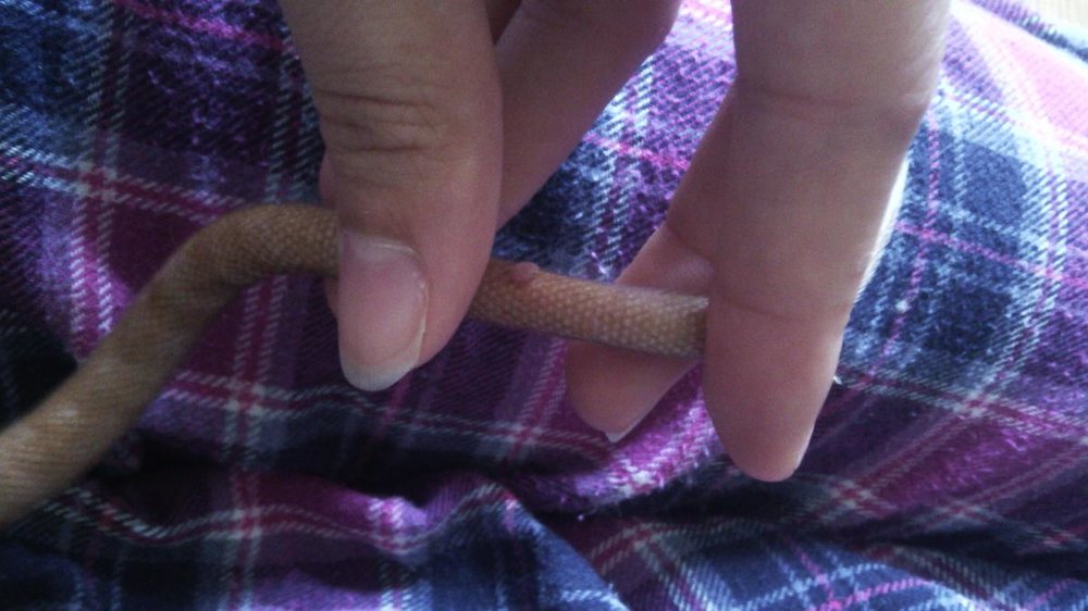 post-19790-0-67031100-1439811034_thumb.jpg