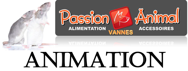 Evénement "Rat" à Passion Animal (56)