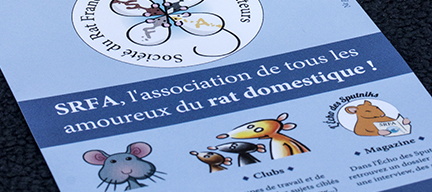 Flyers : devenez ambassadeurs d'SRFA !