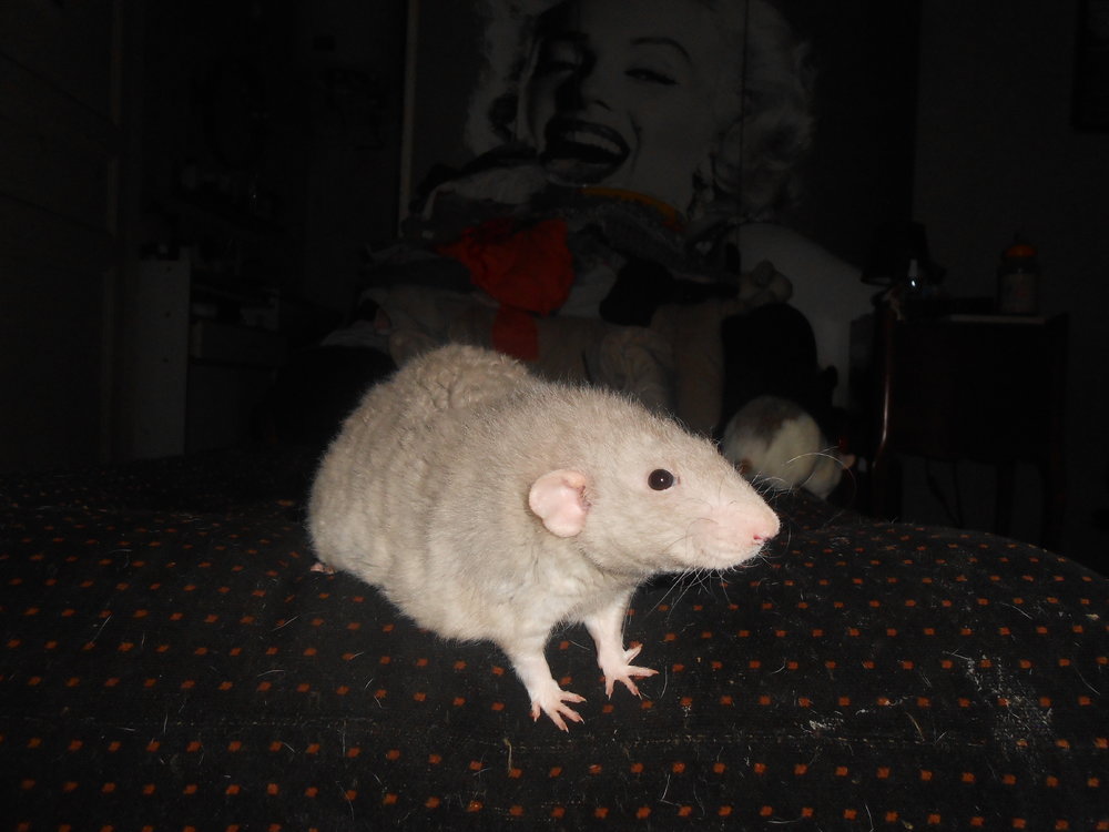 DSCN9948.JPG