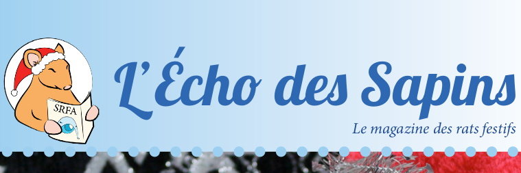 Numéro spécial Noël de l'Echo des Sputniks !