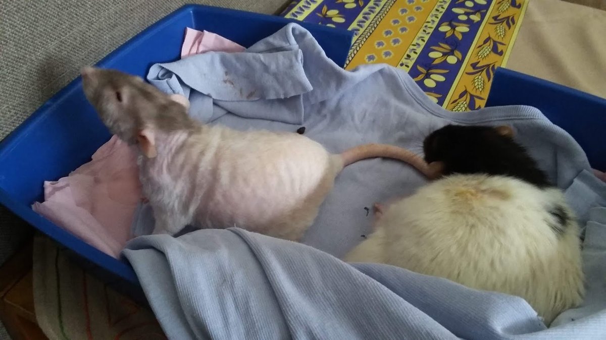 20190201_141555.jpg