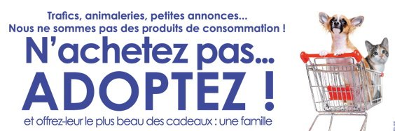 Pénurie d'adoptants ?
