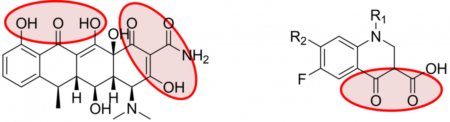 image focus laitages et antibio.png