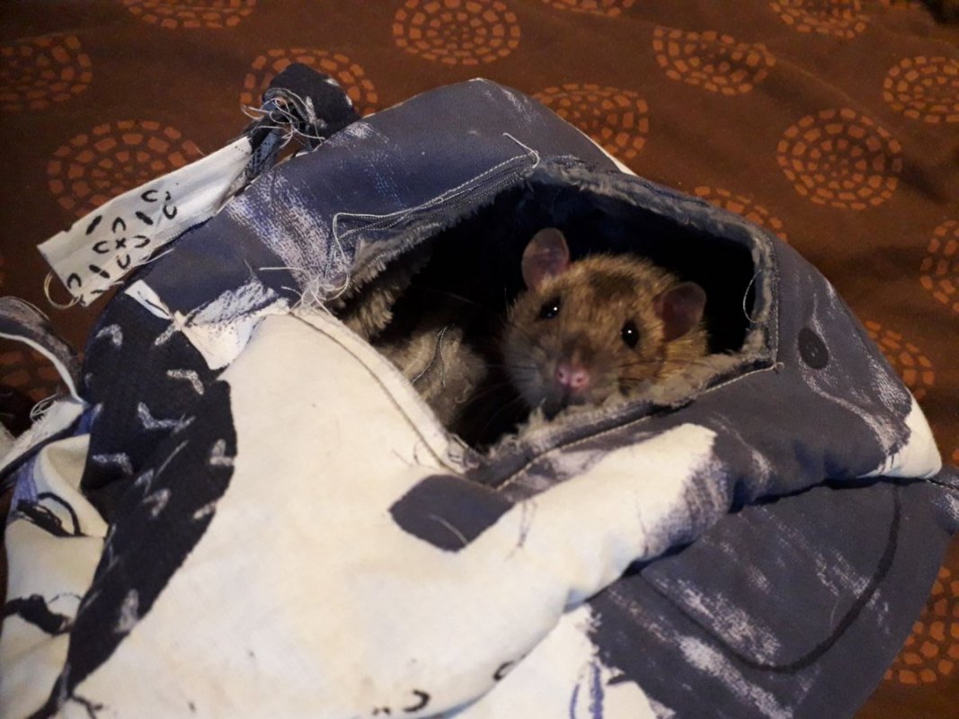 20200514_214359 (1).jpg