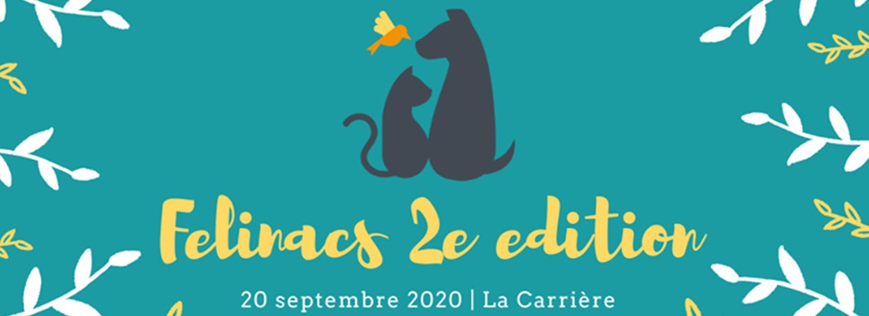 Salon Félinacs le 20 septembre 2020 à Nantes