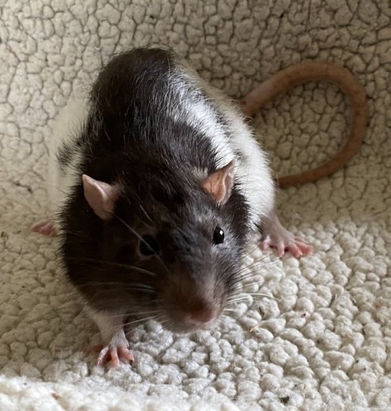 Drobo 2022.03.30.jpg