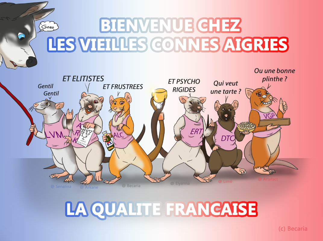 Bannière signée Becaria.png