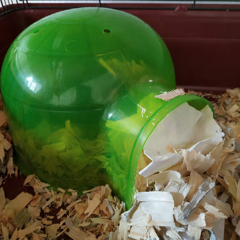 Copeaux séchés au four. (Photo : Ancalimë)