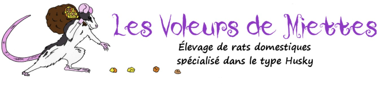 Screenshot 2023-09-19 13.56.09.png