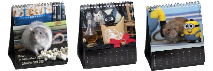 Calendrier SRFA 2024