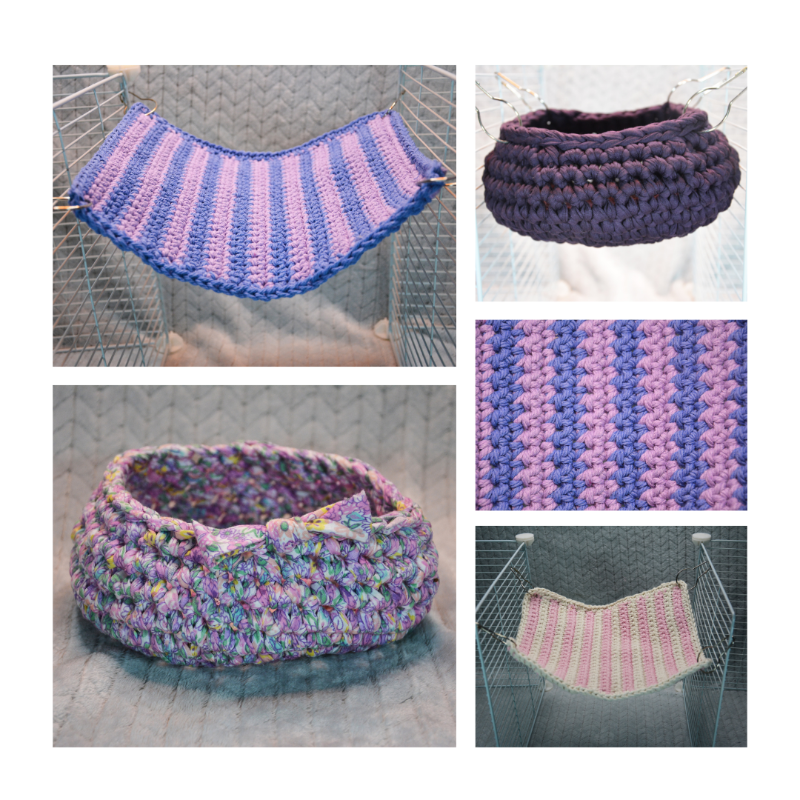 Design sans titre (3).png