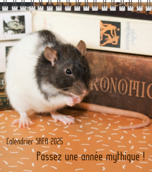 Capture d'écran 2024-12-17 142032.png