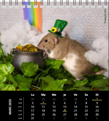 Capture d'écran 2024-12-17 142741.png