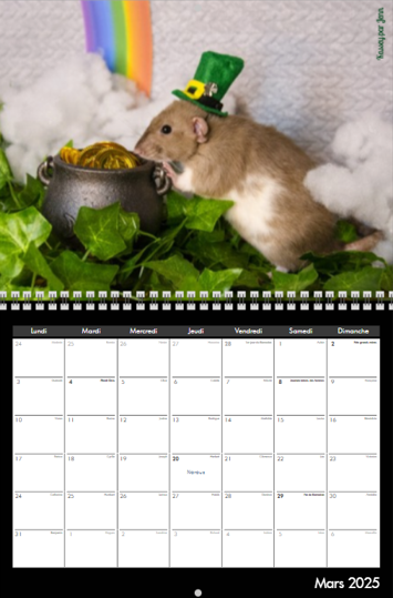 Capture d'écran 2024-12-17 143804.png