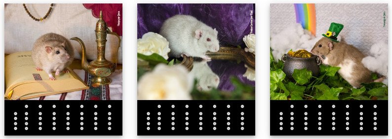 Vente de calendrier SRFA 2025