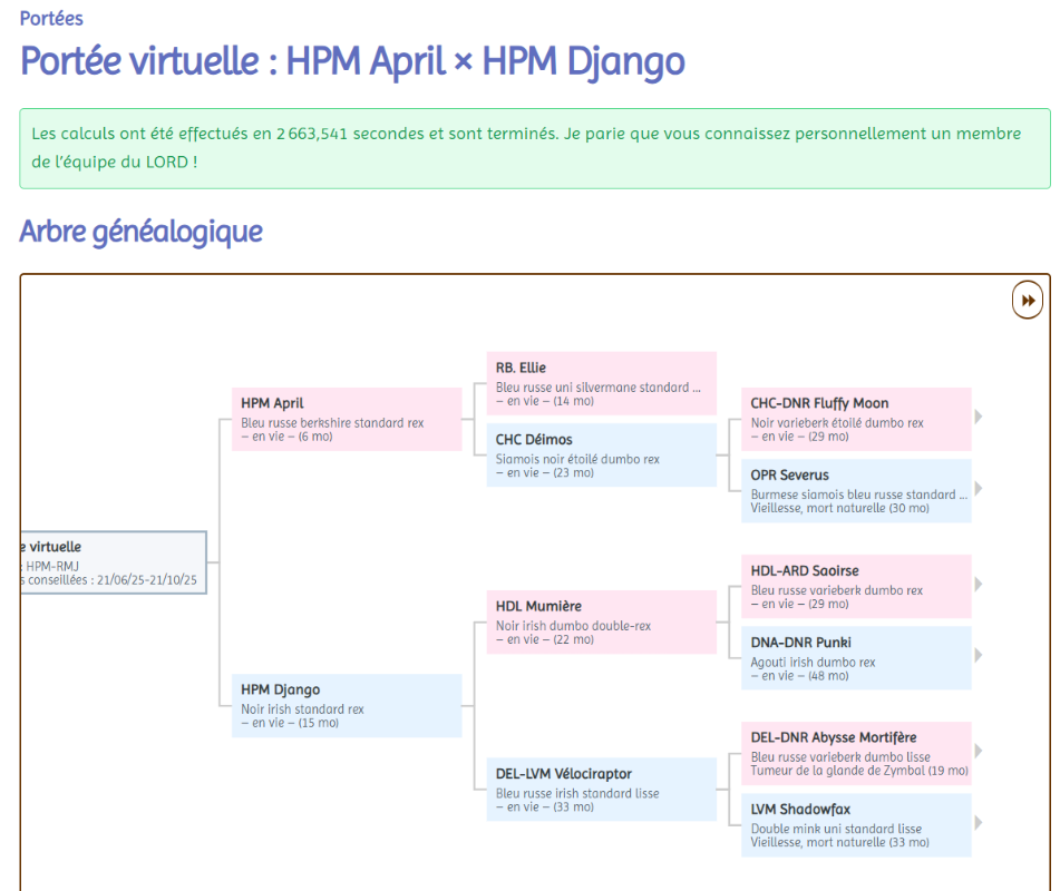 Capture d'écran 2025-07-13 110238.png