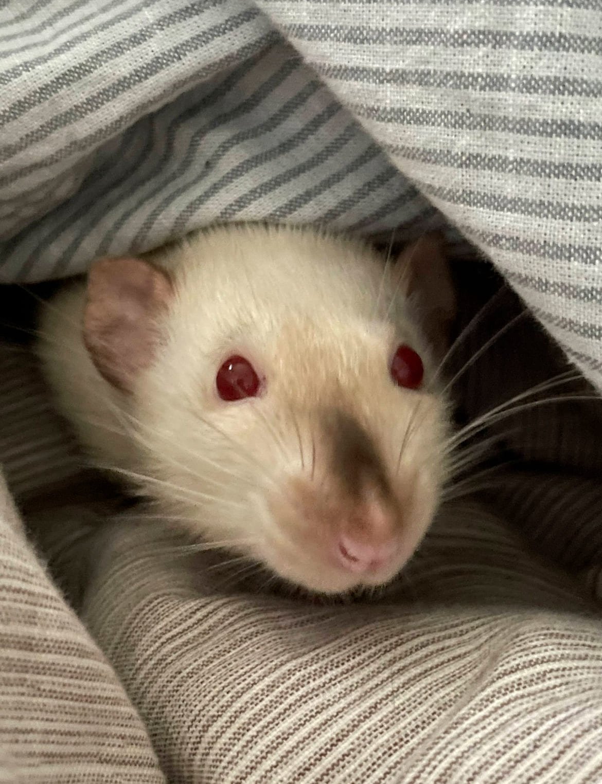 IMG_9779.jpeg.64754b5d202d36993f12f6ff9d